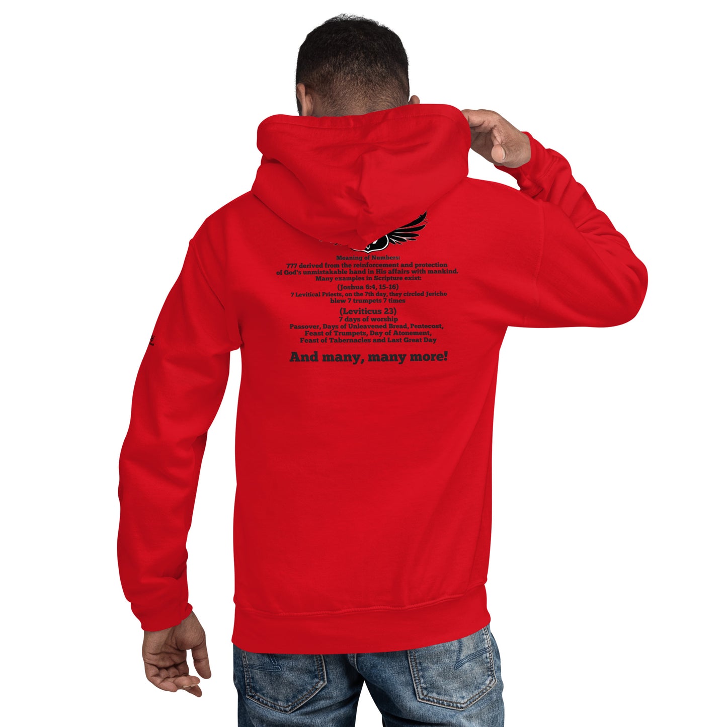 DDB Route 777 Hoodie, by DocBlue Designer Brand